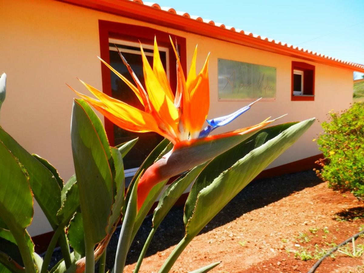 Villa Au petit Madère à Prazeres Extérieur photo